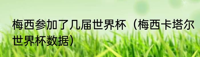 梅西参加了几届世界杯（梅西卡塔尔世界杯数据）