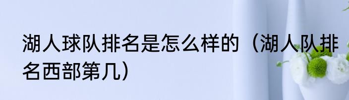 湖人球队排名是怎么样的（湖人队排名西部第几）