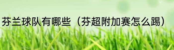 芬兰球队有哪些（芬超附加赛怎么踢）