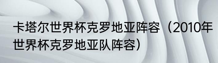 卡塔尔世界杯克罗地亚阵容（2010年世界杯克罗地亚队阵容）