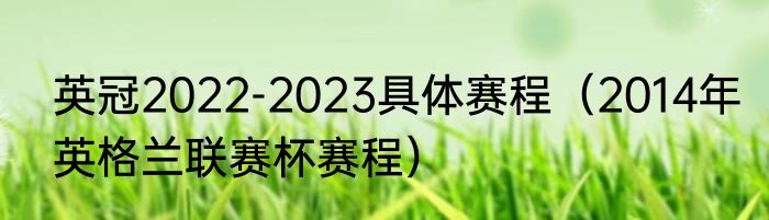英冠2022-2023具体赛程（2014年英格兰联赛杯赛程）