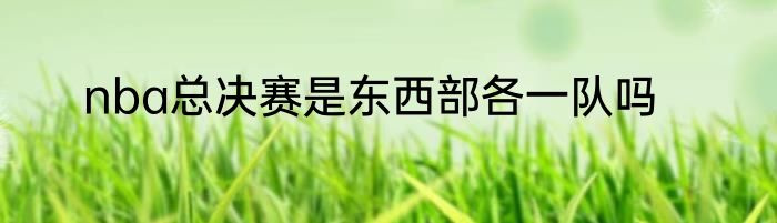 nba总决赛是东西部各一队吗