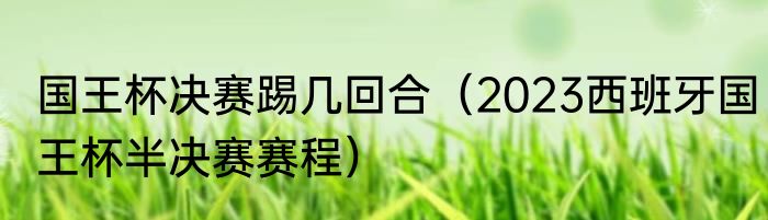 国王杯决赛踢几回合（2023西班牙国王杯半决赛赛程）