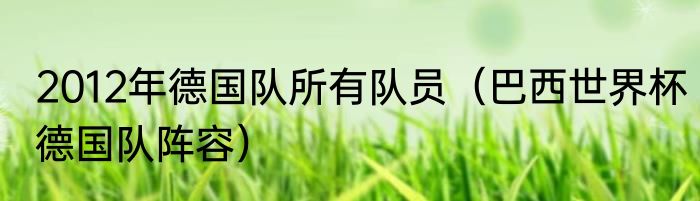 2012年德国队所有队员（巴西世界杯德国队阵容）