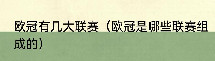 欧冠有几大联赛（欧冠是哪些联赛组成的）
