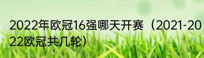 2022年欧冠16强哪天开赛（2021-2022欧冠共几轮）