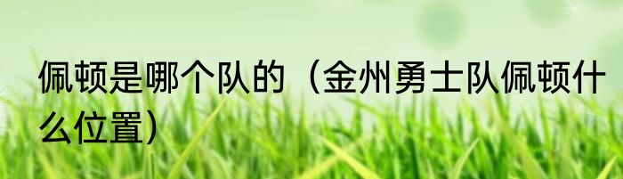 佩顿是哪个队的（金州勇士队佩顿什么位置）