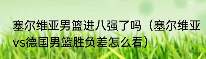 塞尔维亚男篮进八强了吗（塞尔维亚vs德国男篮胜负差怎么看）