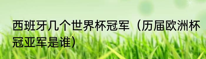 西班牙几个世界杯冠军（历届欧洲杯冠亚军是谁）