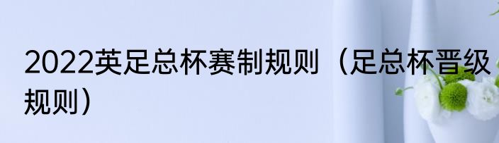 2022英足总杯赛制规则（足总杯晋级规则）