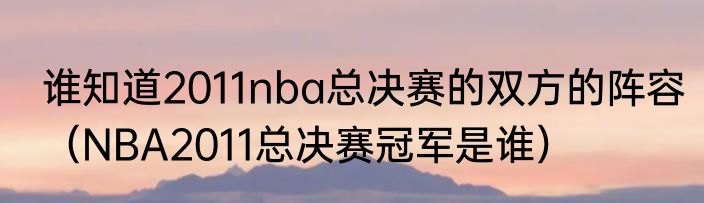 谁知道2011nba总决赛的双方的阵容（NBA2011总决赛冠军是谁）