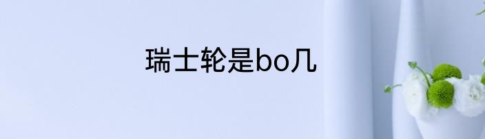 瑞士轮是bo几