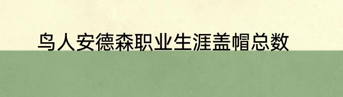 鸟人安德森职业生涯盖帽总数