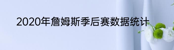 2020年詹姆斯季后赛数据统计