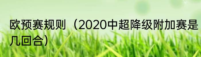 欧预赛规则(2020中超降级附加赛是几回合)