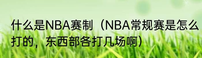 什么是NBA赛制（NBA常规赛是怎么打的，东西部各打几场啊）