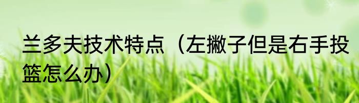 兰多夫技术特点（左撇子但是右手投篮怎么办）
