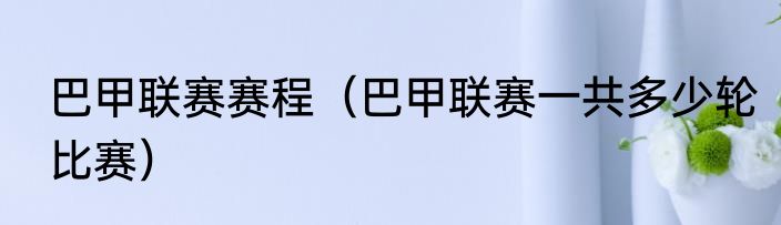 巴甲联赛赛程（巴甲联赛一共多少轮比赛）