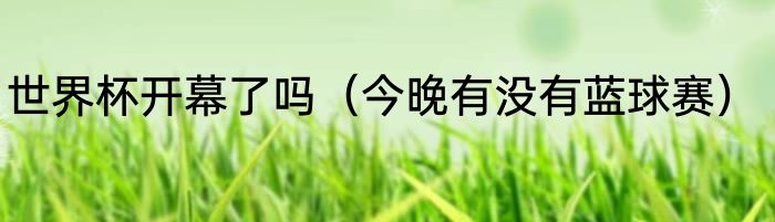 世界杯开幕了吗（今晚有没有蓝球赛）