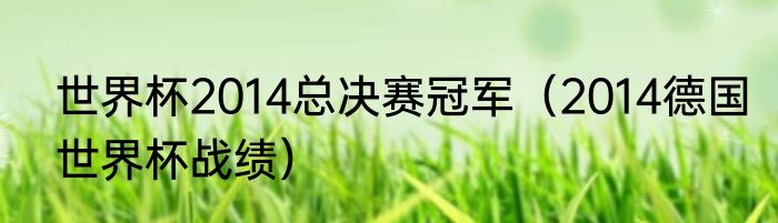 世界杯2014总决赛冠军（2014德国世界杯战绩）