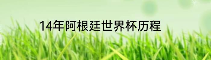 14年阿根廷世界杯历程