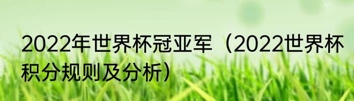2022年世界杯冠亚军（2022世界杯积分规则及分析）