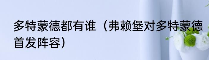 多特蒙德都有谁（弗赖堡对多特蒙德首发阵容）