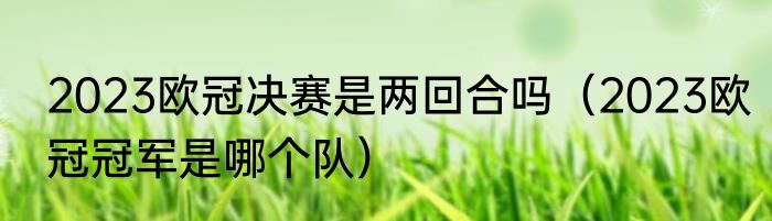 2023欧冠决赛是两回合吗（2023欧冠冠军是哪个队）
