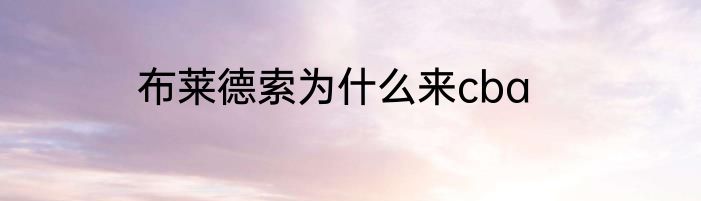 布莱德索为什么来cba