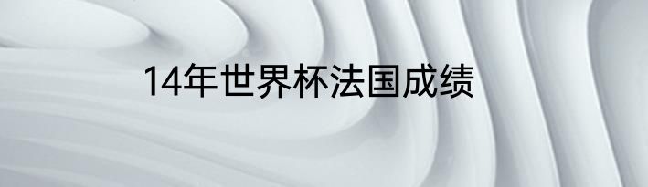 14年世界杯法国成绩