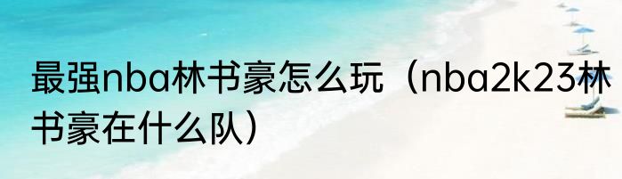 最强nba林书豪怎么玩（nba2k23林书豪在什么队）