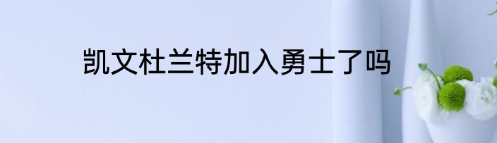 凯文杜兰特加入勇士了吗