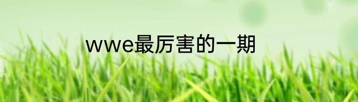 wwe最厉害的一期