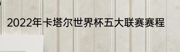 2022年卡塔尔世界杯五大联赛赛程