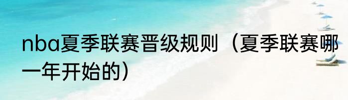 nba夏季联赛晋级规则（夏季联赛哪一年开始的）