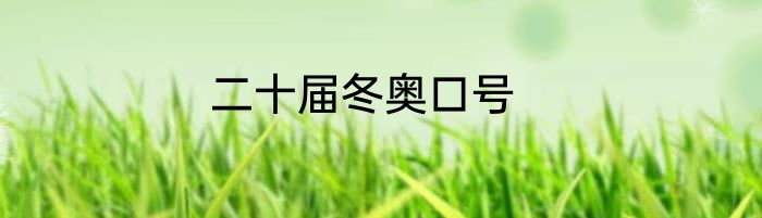 二十届冬奥口号