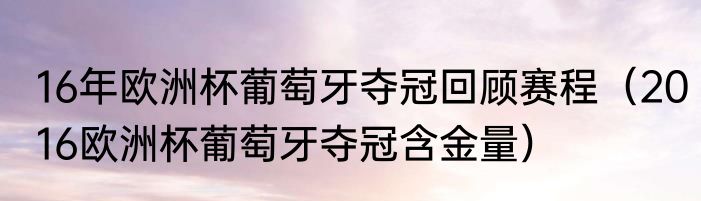 16年欧洲杯葡萄牙夺冠回顾赛程（2016欧洲杯葡萄牙夺冠含金量）
