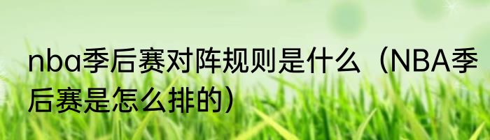 nba季后赛对阵规则是什么（NBA季后赛是怎么排的）