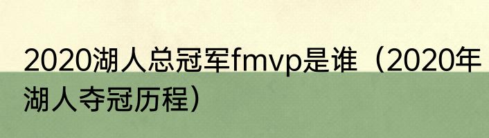 2020湖人总冠军fmvp是谁（2020年湖人夺冠历程）