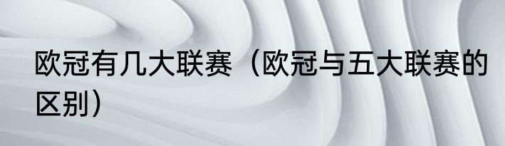 欧冠有几大联赛（欧冠与五大联赛的区别）