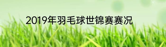 2019年羽毛球世锦赛赛况