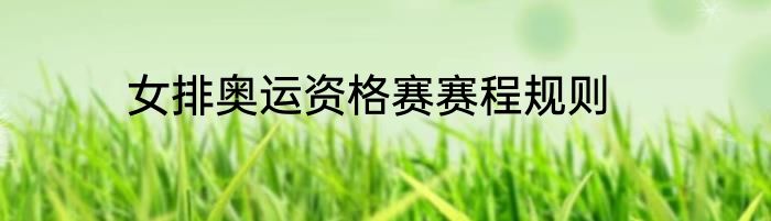 女排奥运资格赛赛程规则