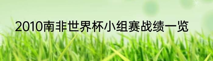 2010南非世界杯小组赛战绩一览