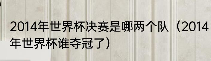 2014年世界杯决赛是哪两个队（2014年世界杯谁夺冠了）