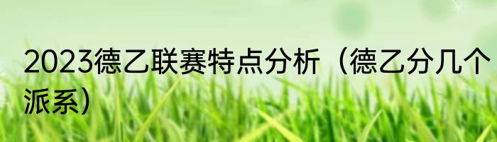 2023德乙联赛特点分析（德乙分几个派系）