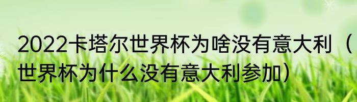 2022卡塔尔世界杯为啥没有意大利（世界杯为什么没有意大利参加）