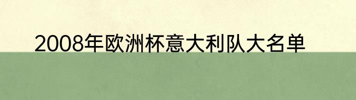 2008年欧洲杯意大利队大名单