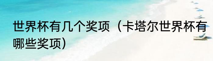 世界杯有几个奖项（卡塔尔世界杯有哪些奖项）