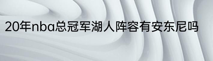 20年nba总冠军湖人阵容有安东尼吗