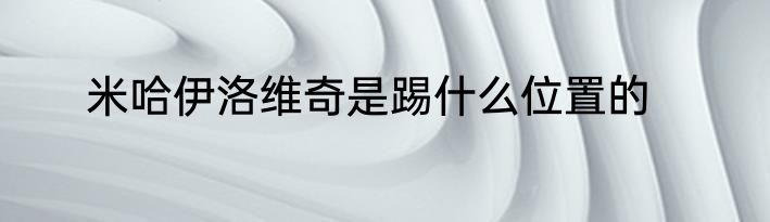 米哈伊洛维奇是踢什么位置的